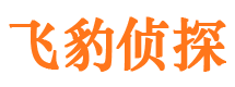 新会市调查公司